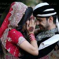 niazi.nf
