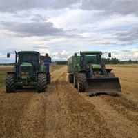 alkuperäinen ääni