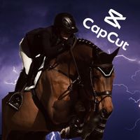 hvrseedits4