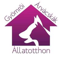 eredeti hang – Gyömrői Árvácskák Állatotthon