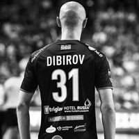 handball311