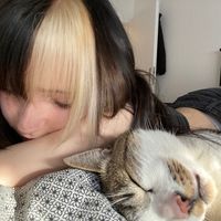 meinekatzeschmecktgut