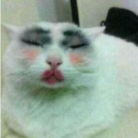 misaxmaid