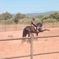 franciscorodrguez8198