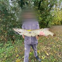 l2.angler0