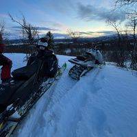 malte_larsson3