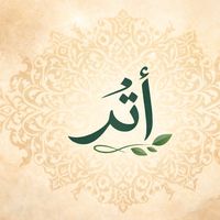 الصوت الأصلي