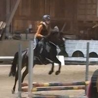 equestrian_fien6