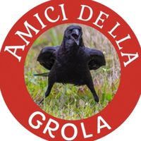 adg.amicidellagrola