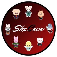 skz.cece