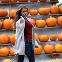 laria_offical