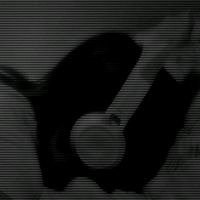 music_listend