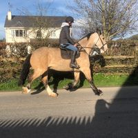 aidanoconnor01