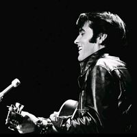 elvis_theking