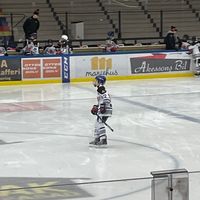 hockeyisgoodgood