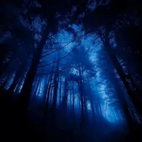 euphoria x posion tree