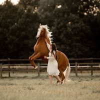 lauras.equilife