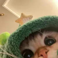 original sound - mbzzcap