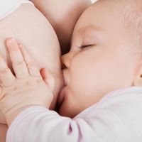 nhạc nền - Nhạc Chill Mỗi Ngày 💘
