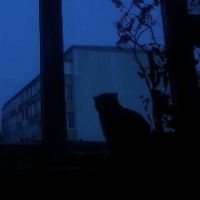 оригинальный звук - aкноттик