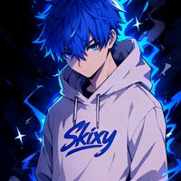 skixy