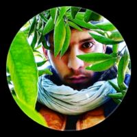 الصوت الأصلي - Hicham ibourk