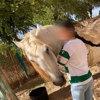 el_ouali_iman48