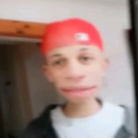 _sturn.yolo_