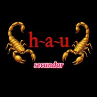 hau.secundar