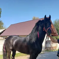 original sound - victorionut27011