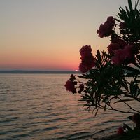 dreamy.lisaa4