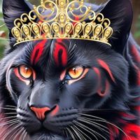 nicoletamirelapatrana