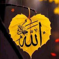 islamic18just