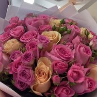 imane.immy06