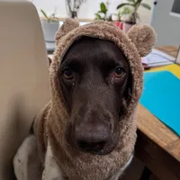 original sound - annabirgany