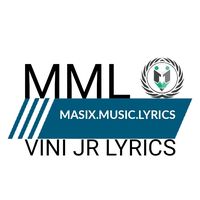 tiktok.vini.jr