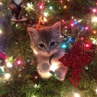 chr1stmas_babe