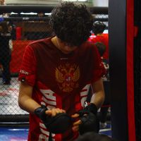 оригинальный звук