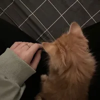 original sound - h27s2