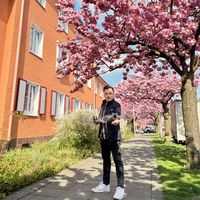 الصوت الأصلي