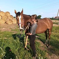 kacperek_equestrian
