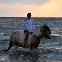 ponyhofxmich