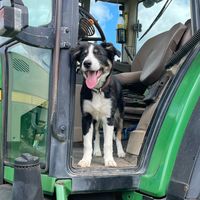 emma_agri09