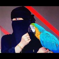 me3ad_f16