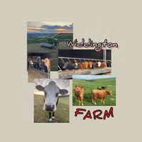widdingtonfarm