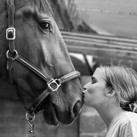 alice.mrtt