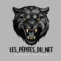 original sound - les_pepites_du_net2