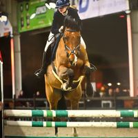 horsiesssss2