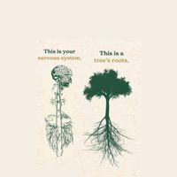 regulatednervoussystem