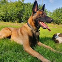 lass mich nicht verhungern